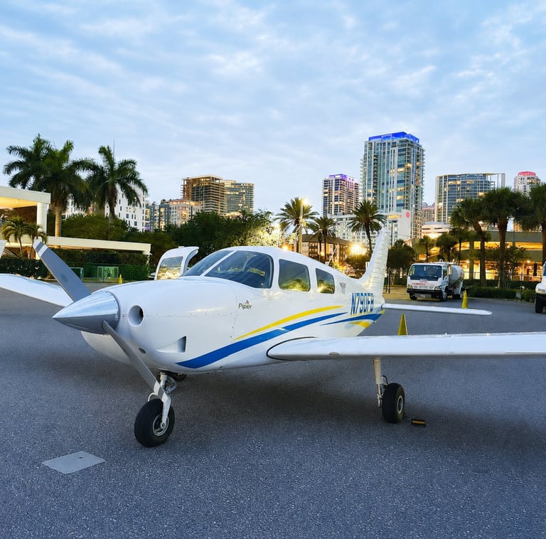 White and blue single-engine aircraft parked on urban street with city skyline and palm trees in background